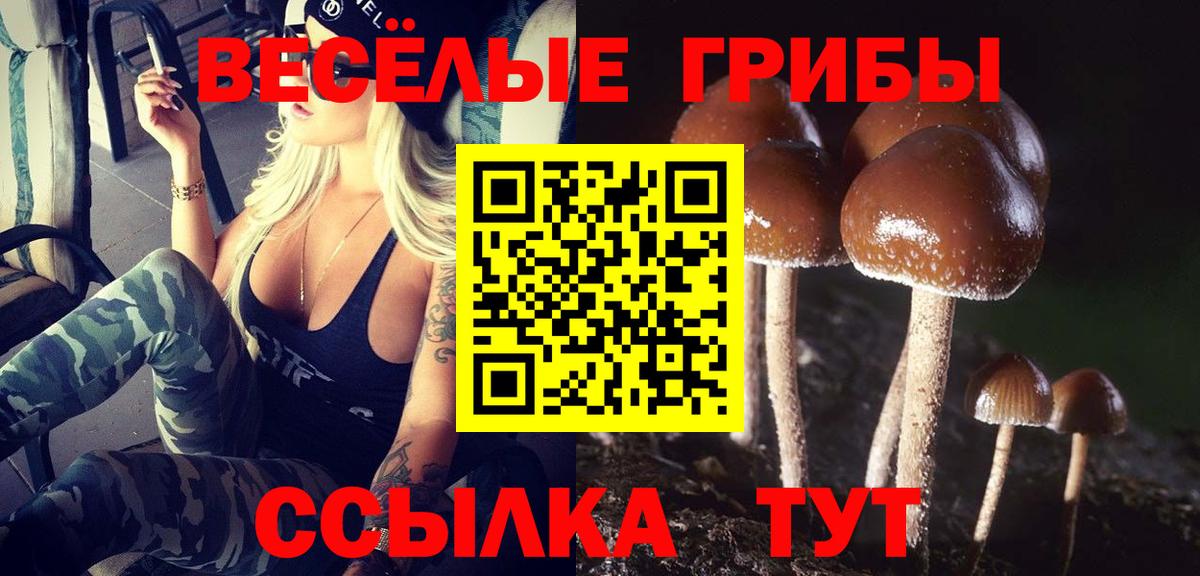 Галлюциногенные грибы GOLDEN TEACHER Семёнов